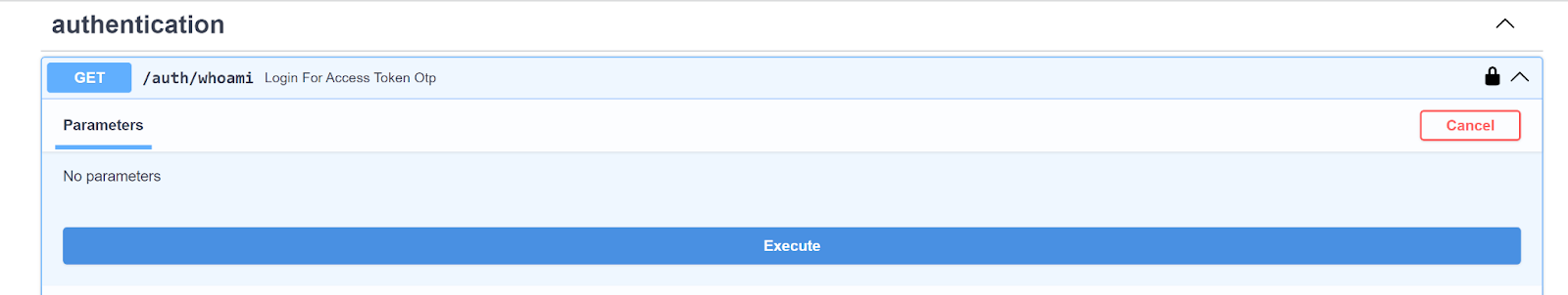 Then, select &#39;Execute&#39;.